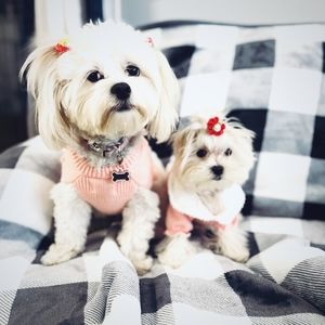 COPY-unlisted items for live